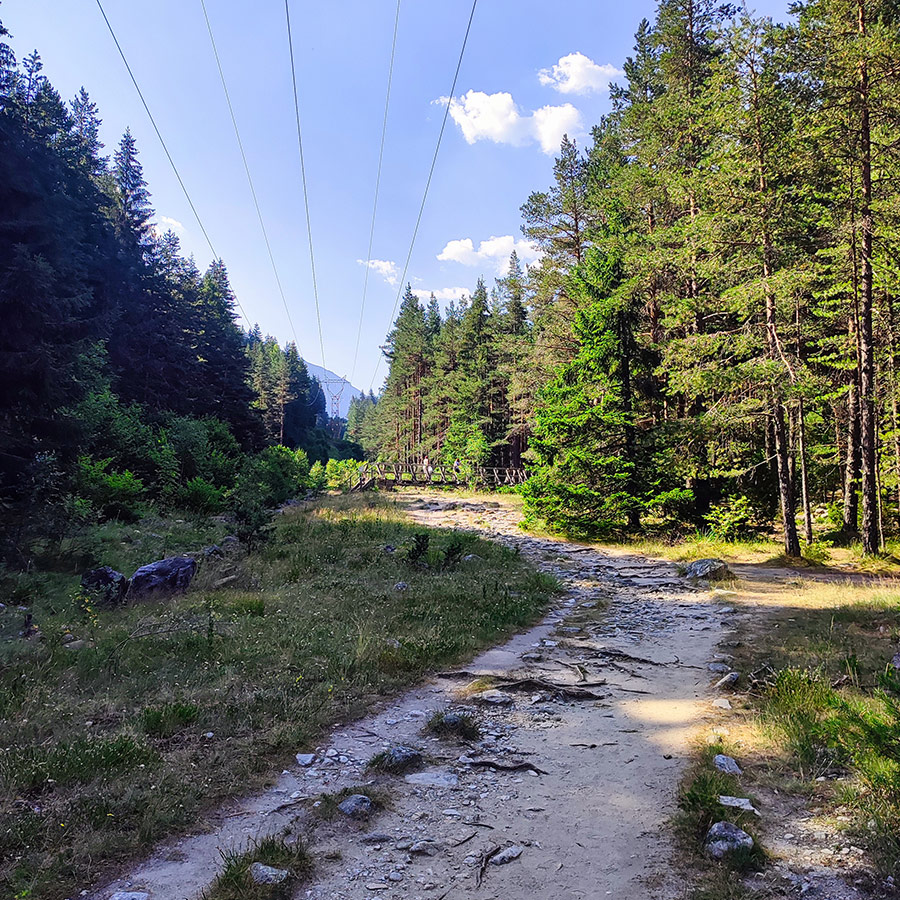 Wide dirt path with powerlines running above the Beli Iskar Eco Trail in Bulgaria.