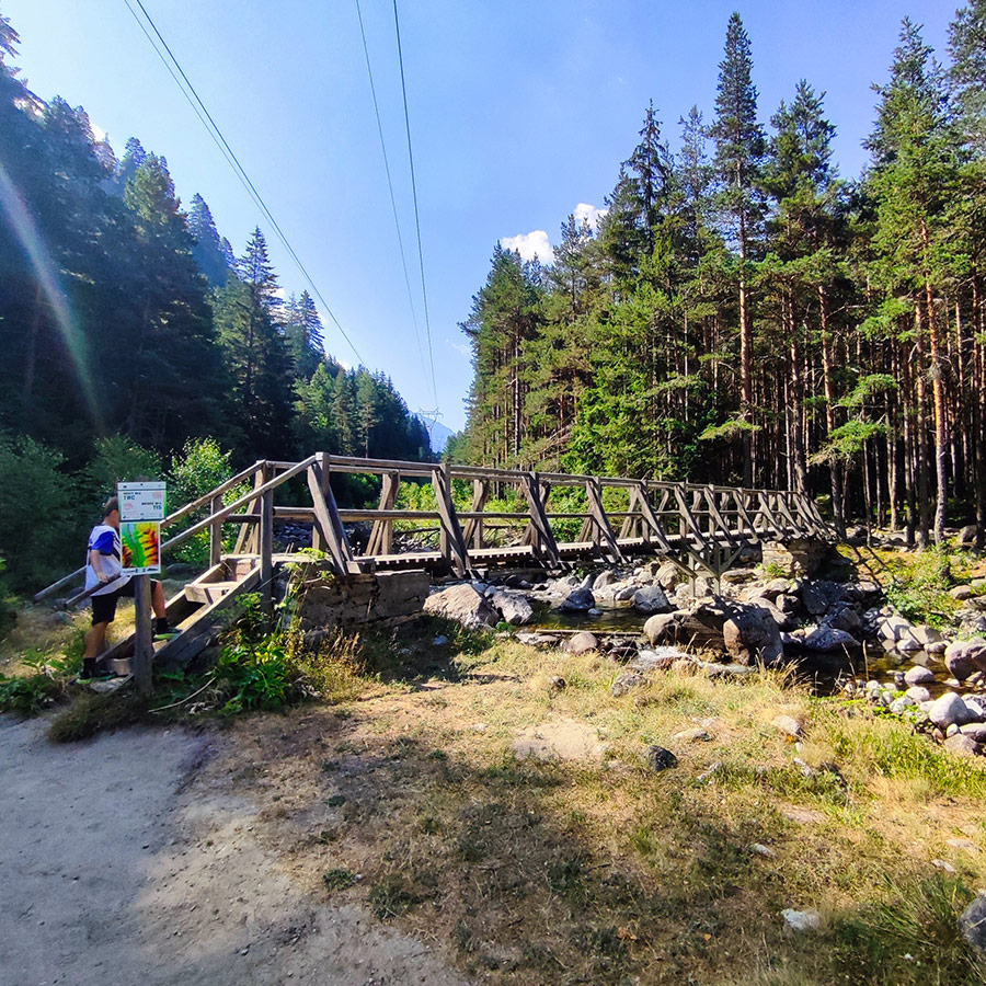 Wooden bridge crossing the Iskar River with surrounding pine forest on the eco trail.