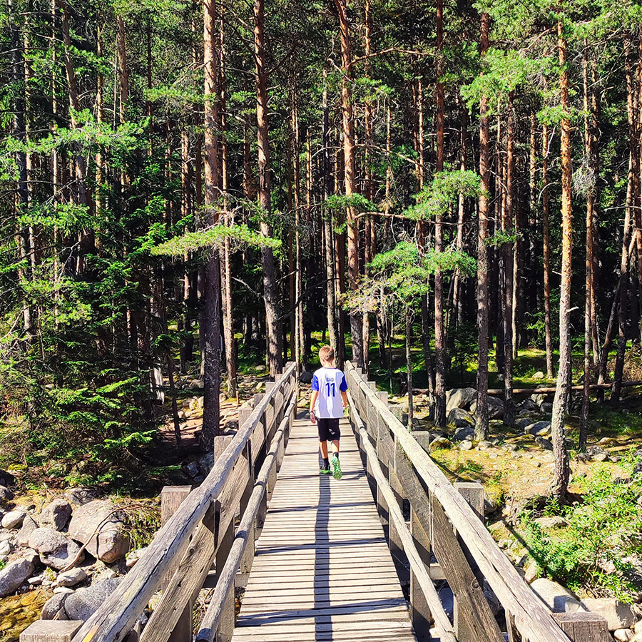 Child walking across a forest bridge on the Beli Iskar Eco Trail.