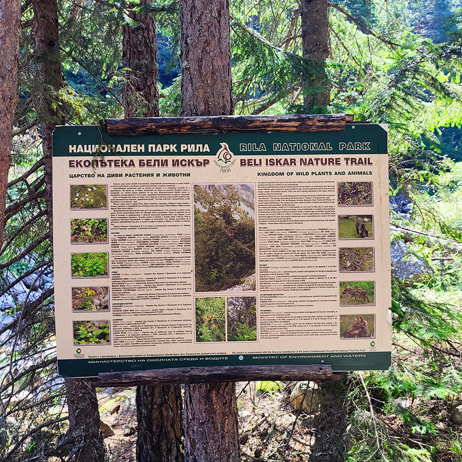 Educational information board about flora and fauna on the Beli Iskar Eco Trail.