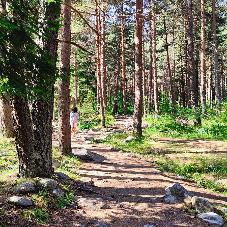Hiker walking along shaded forest path on the Beli Iskar Eco Trail.