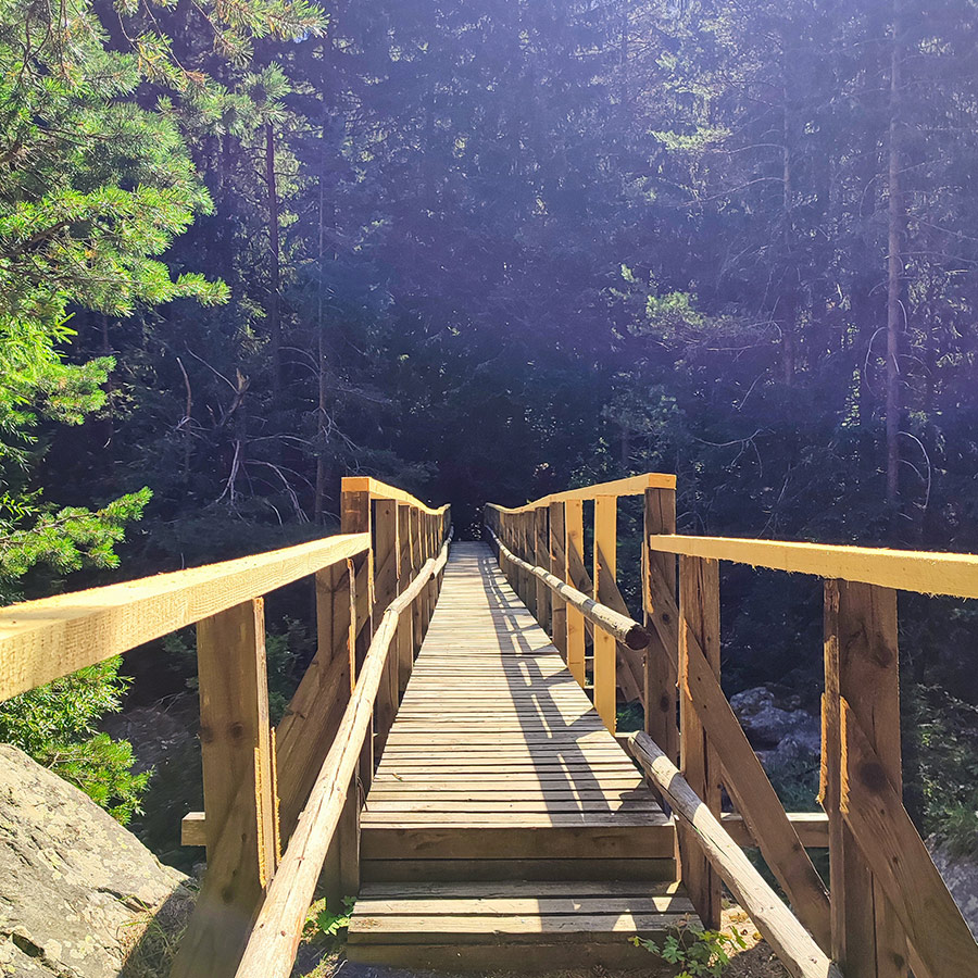 Wooden bridge along the Beli Iskar Eco Trail surrounded by dense forest in Rila Mountain, Bulgaria