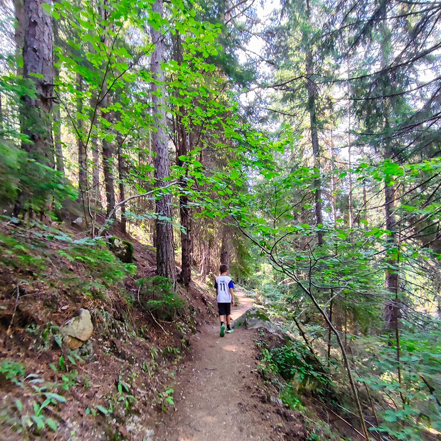 Child hiking along a forest path on the Beli Iskar Eco Trail, Bulgaria