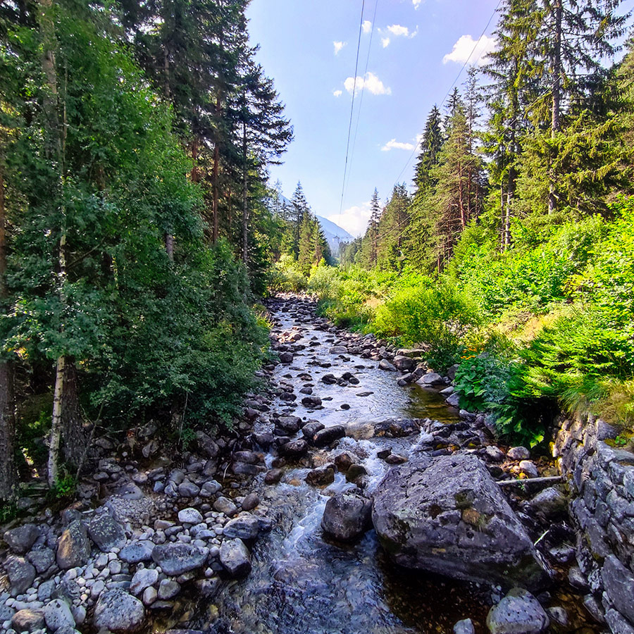 River view from bridge on the Beli Iskar Eco Trail in Rila Mountain