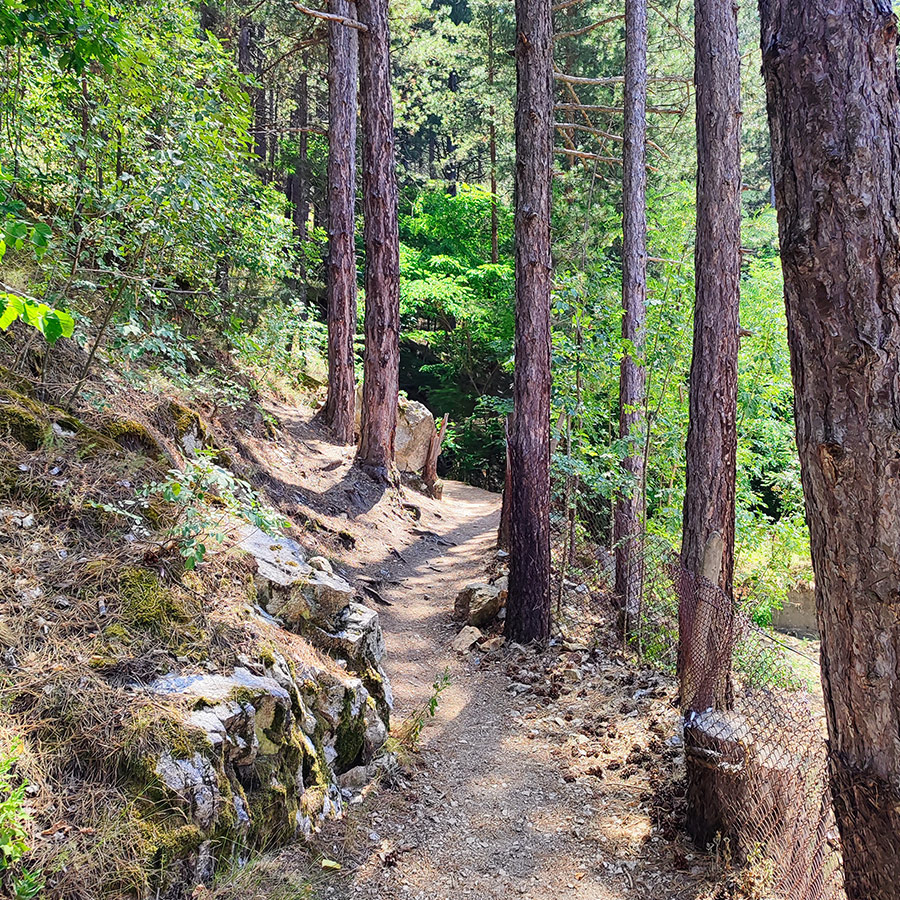 Shaded forest path leading to Goritsa Waterfall in Rila Mountain, Bulgaria.