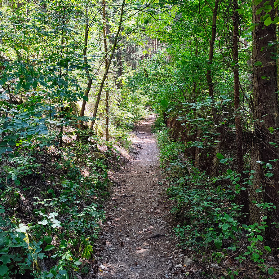 Eco-trail through lush greenery on the way to Goritsa Waterfall, Ovchartsi village, Rila Mountain.