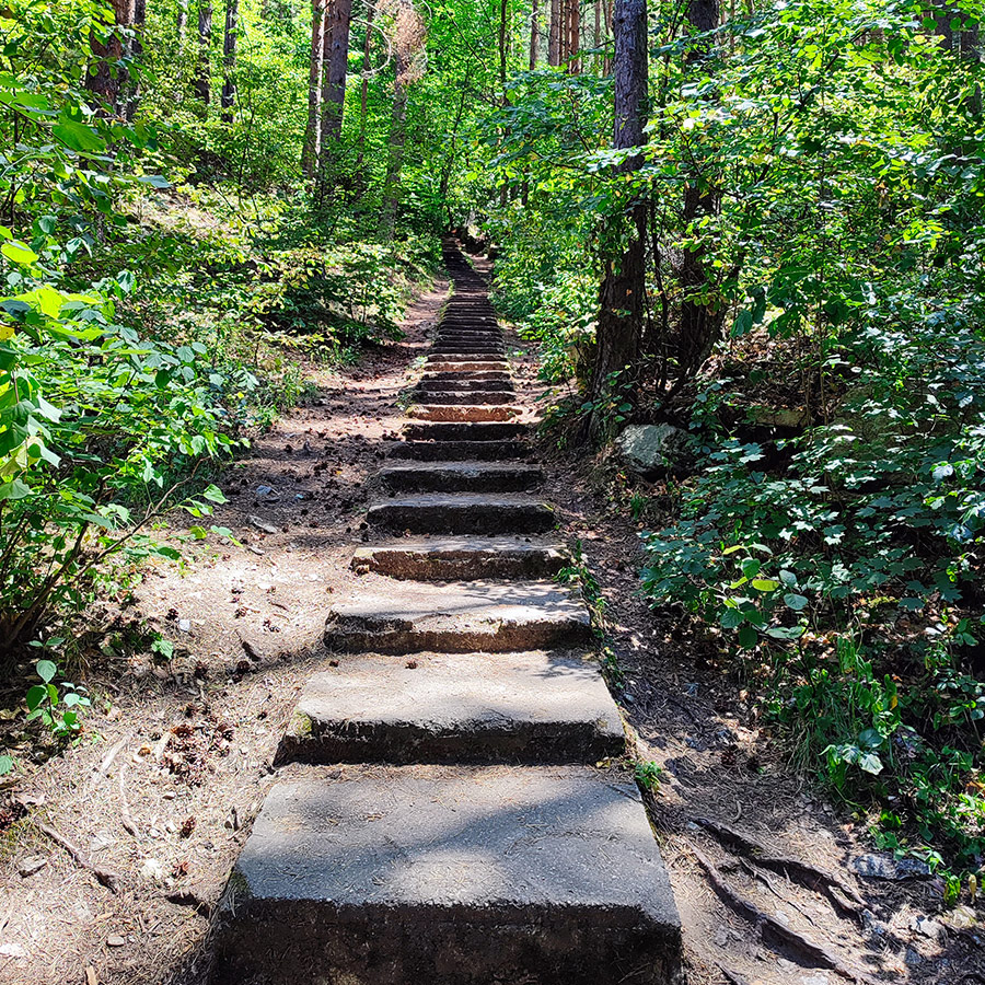 Stone steps on the Goritsa Waterfall eco-trail, Rila Mountain, Bulgaria.