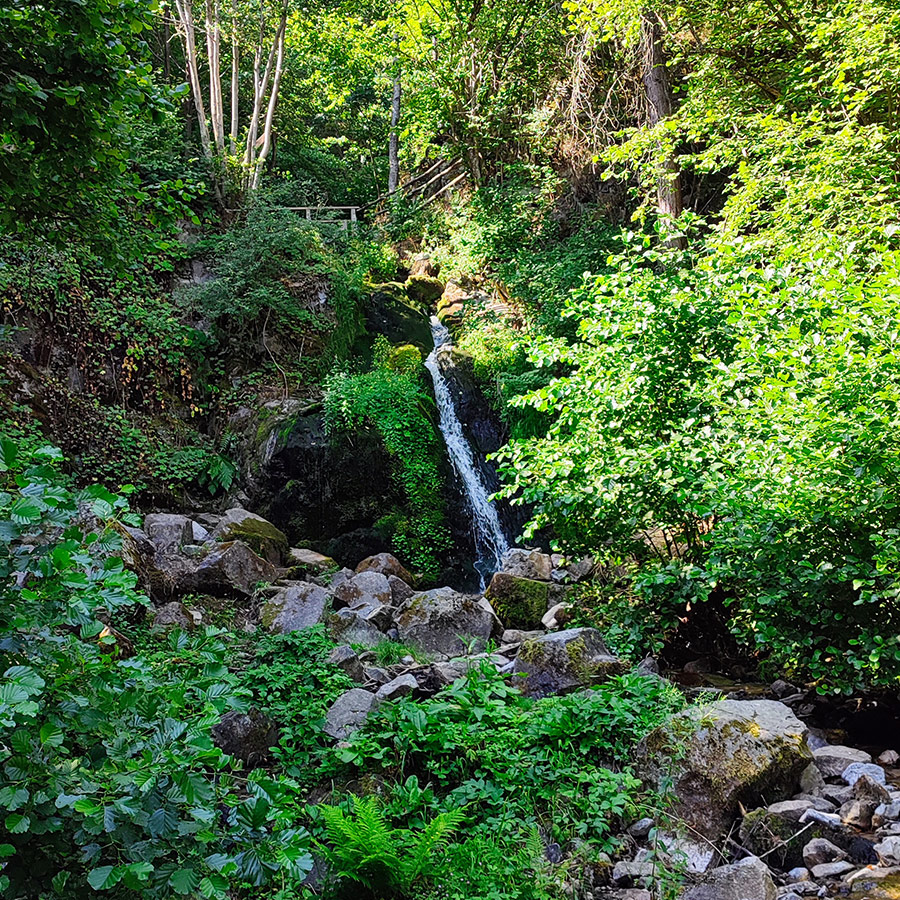 Small cascade of Saint Nicholas Waterfall surrounded by mossy rocks and greenery near Bansko, Bulgaria.