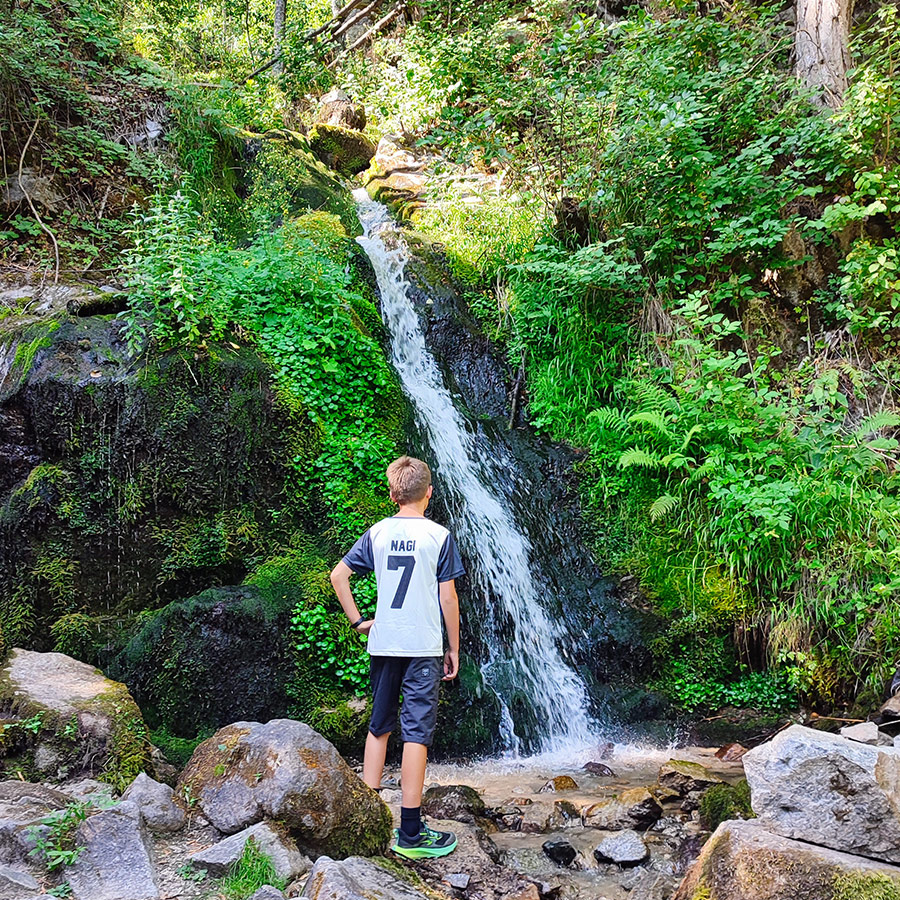 Small cascade of Saint Nicholas Waterfall surrounded by mossy rocks and greenery near Bansko, Bulgaria.
