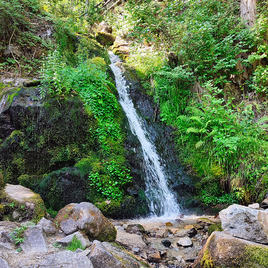 Small cascade of Saint Nicholas Waterfall surrounded by mossy rocks and greenery near Bansko, Bulgaria.