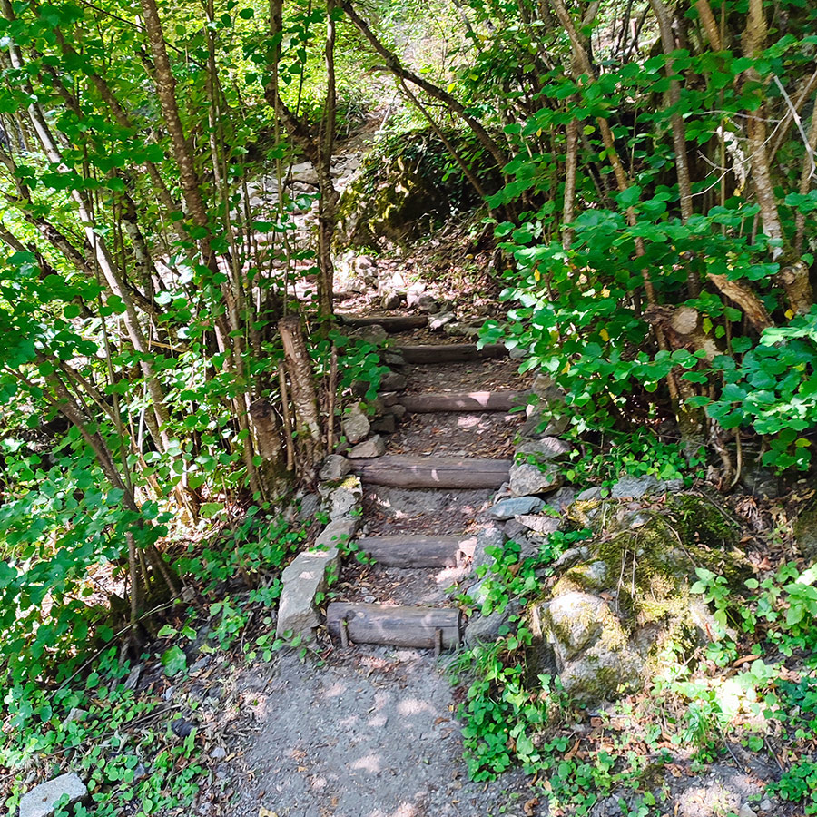 Wooden steps along the hiking trail to Saint Nicholas Waterfall near Bansko, Bulgaria.