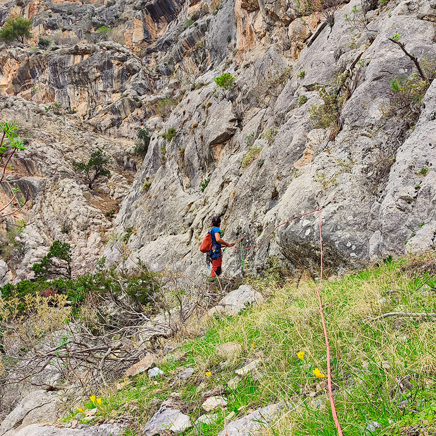 Climber preparing to lead from grassy belay ledge on Asterope multi-pitch route.