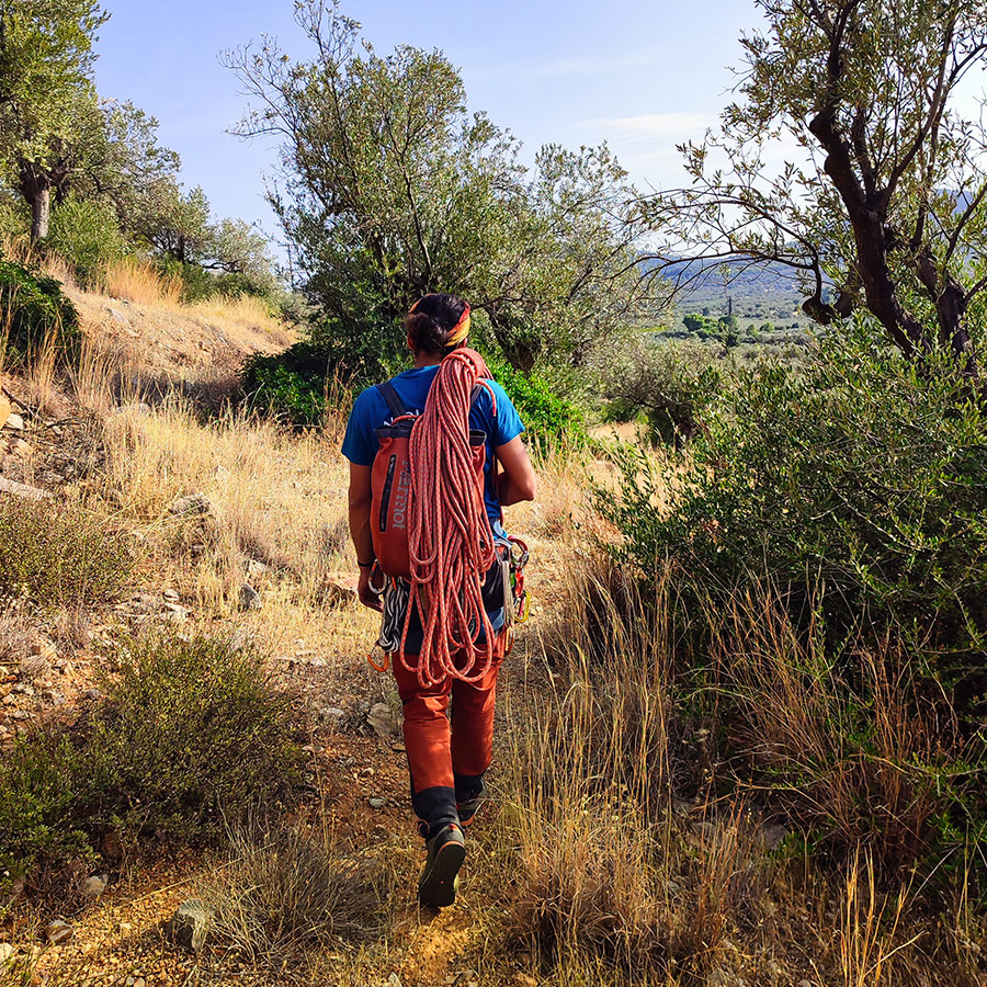 Climber walking through olive grove after descending from Pleiades Crag in Ermioni.