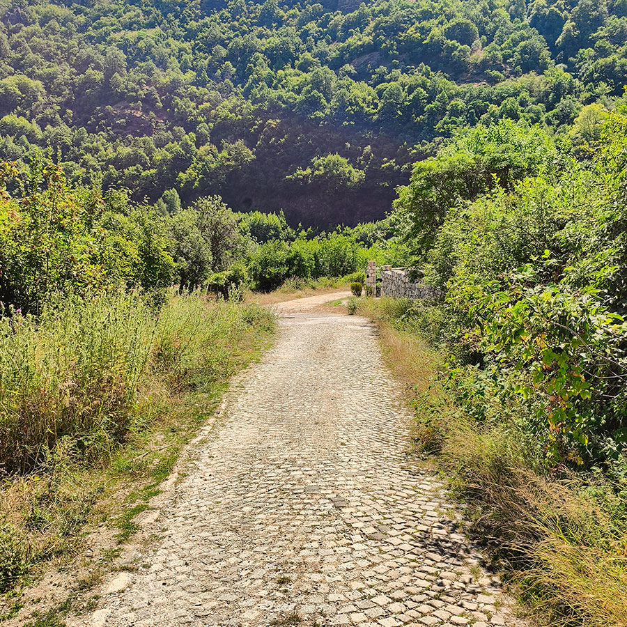 Cobblestone road leading to the hiking trail in Dihovo, Pelister National Park, North Macedonia