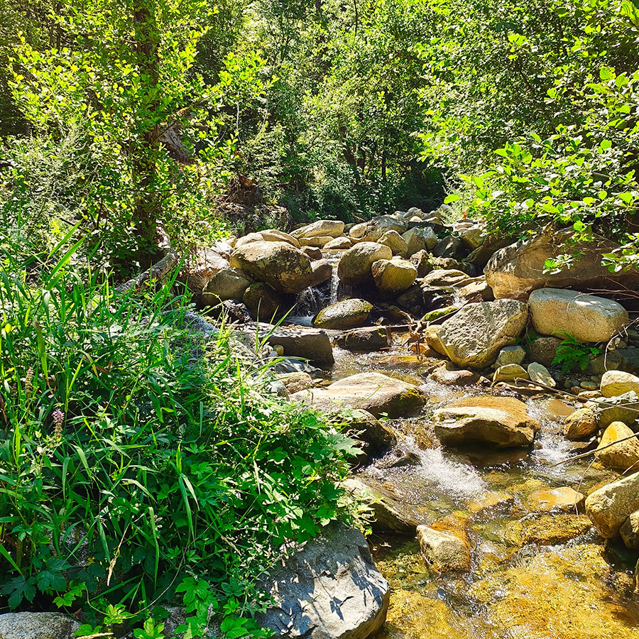 Crystal clear mountain stream along the Kapejnci hiking trail