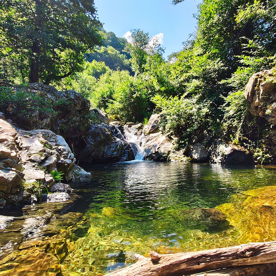 Scenic view of Kapejnci Waterfall surrounded by lush forest