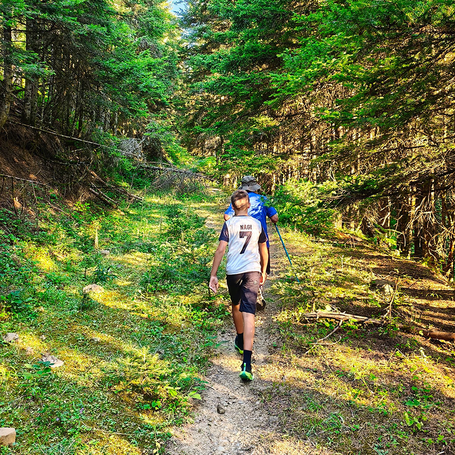 Hikers walking along the Z1 trail through the fir forest toward Voulgara Peak in Agrafa.