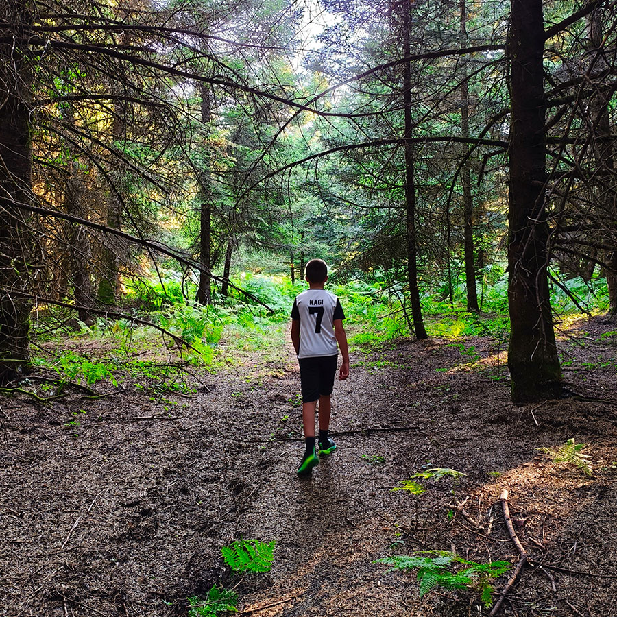 Young hiker walking through the fir forest on the Z1 trail to Voulgara Peak in Agrafa.