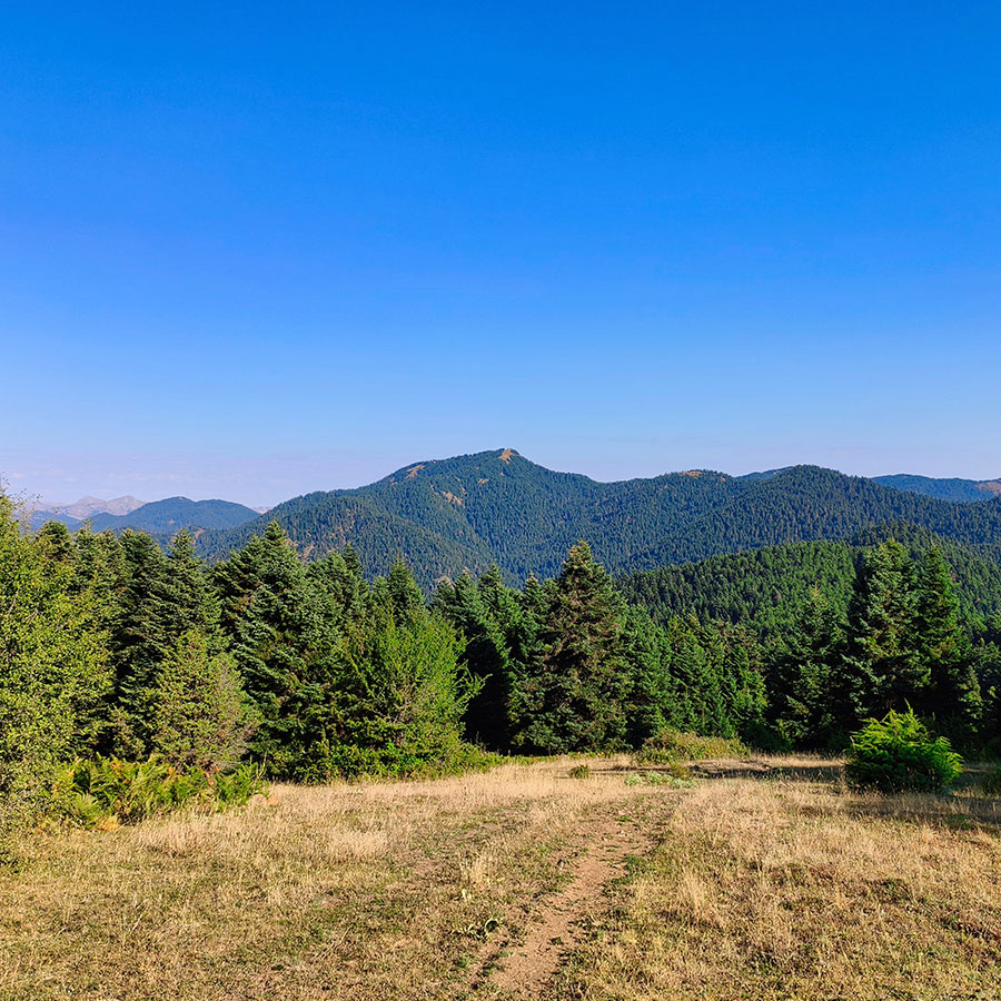 Panoramic view of Voulgara Peak from a mountain meadow in the Agrafa Mountains.
