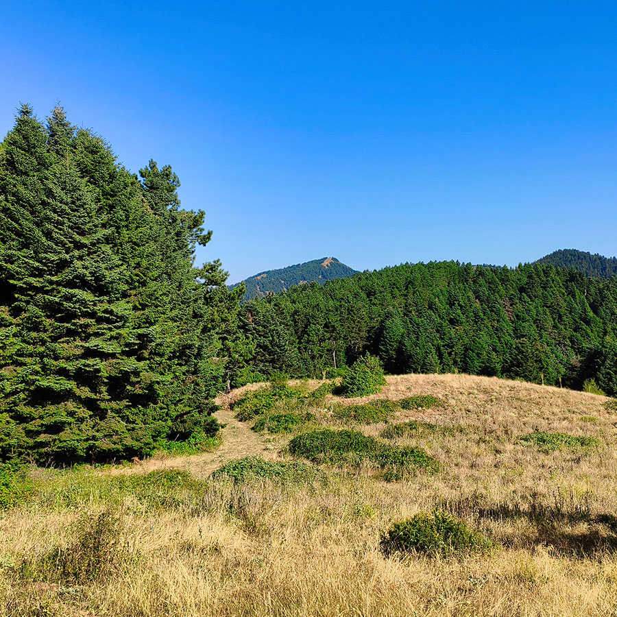 Open grassland with panoramic views toward Voulgara Peak in the Agrafa Mountains.