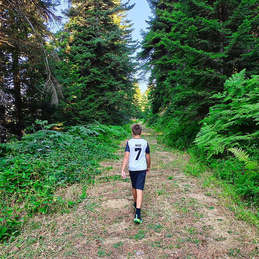 Hiker walking through lush fir forest toward Voulgara Peak in the Agrafa Mountains.