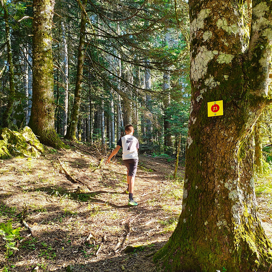 Young hiker following the Z1 trail through the fir forest toward Voulgara Peak in the Agrafa Mountains.