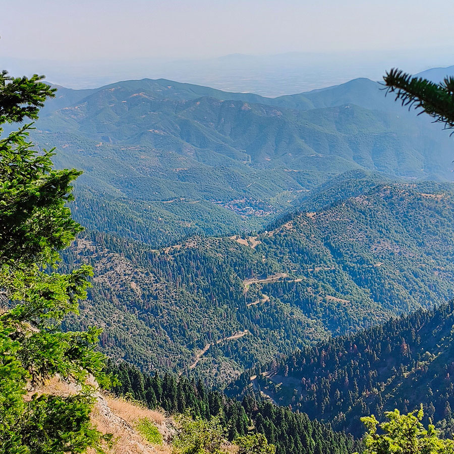 Panoramic mountain view from the slopes of Voulgara Peak overlooking the forests of Agrafa.