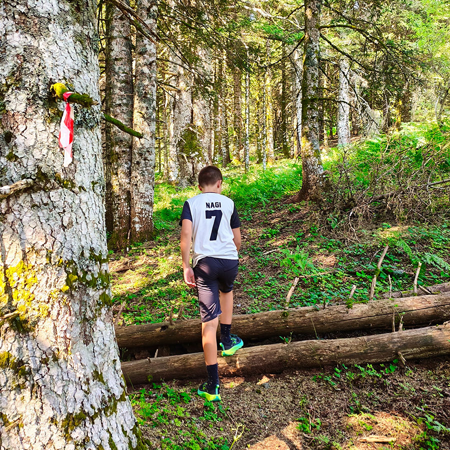 Young hiker crossing fallen trees along the Z1 trail to Voulgara Peak in the Agrafa Mountains.