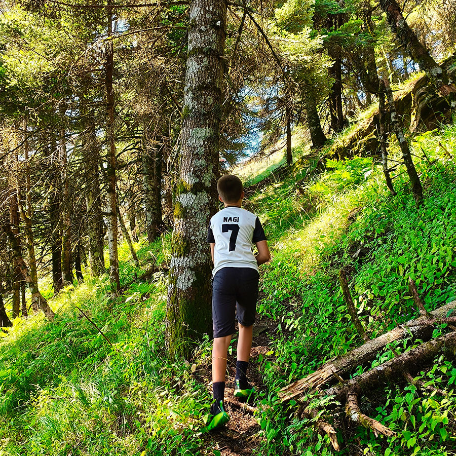 Hiker ascending a steep forest trail toward Voulgara Peak through the fir forests of Agrafa.