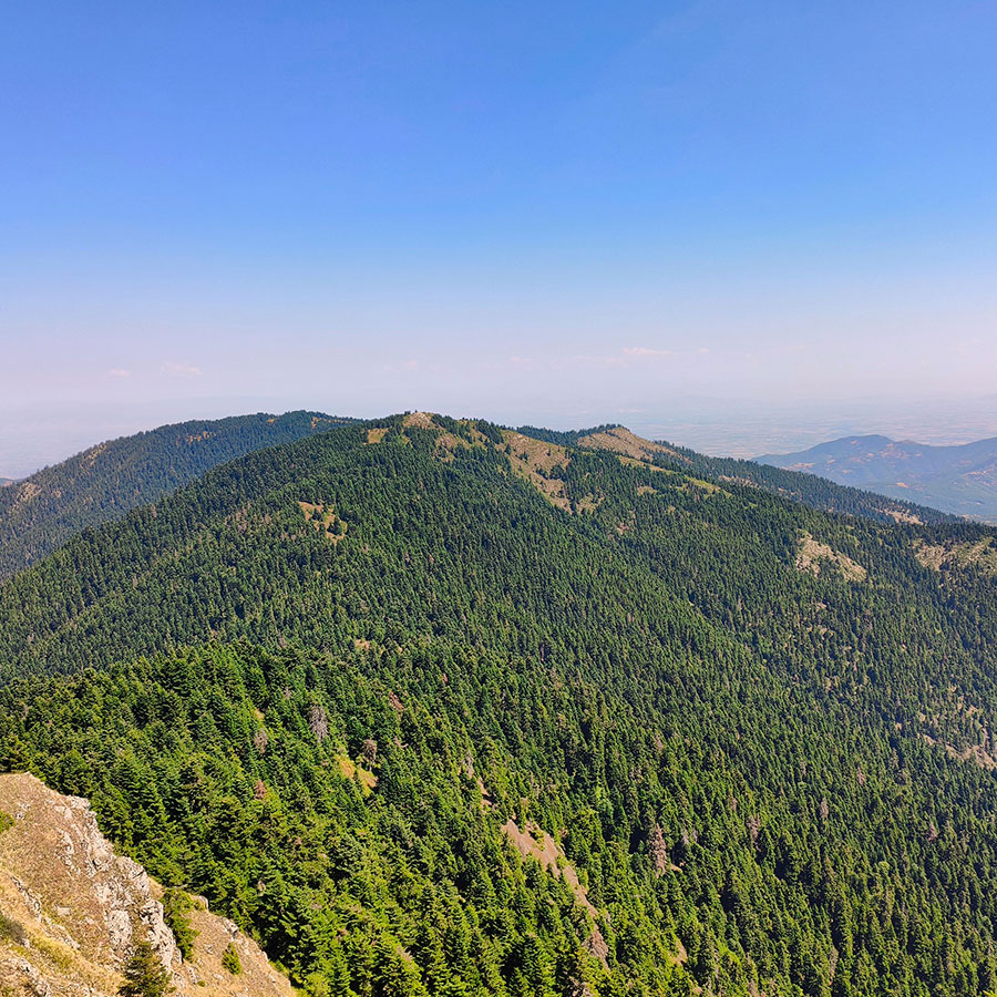 Panoramic view from Voulgara Peak across the forested mountains and valleys of Agrafa.